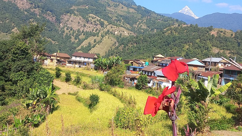जहाँ महानगरकै वडा कार्यालय पुग्न दुई घण्टा हिँड्नुपर्छ